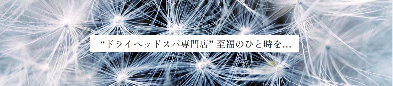 和歌山のドライヘッドスパ専門店