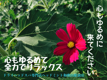 心もゆるめて全力でリラックス「ドライヘッドスパ専門店ヘッドミント和歌山駅前店」