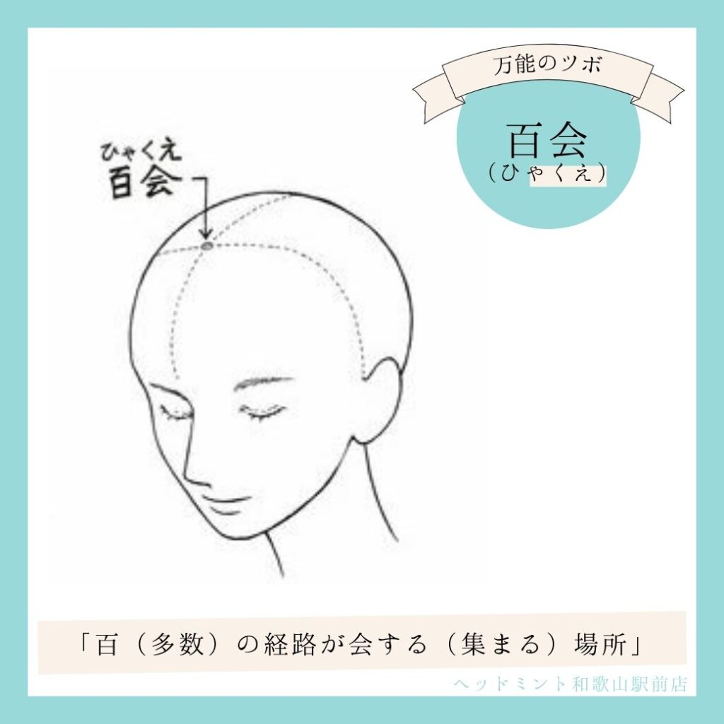 万能のツボ - 百会の場所　「百（多数）の経路が会する（集まる）場所」
ドライヘッドスパ専門店ヘッドミント和歌山駅前店