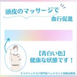 頭皮マッサージで血行促進 青白い色 健康な状態です！ ドライヘッドスパ専門店ヘッドミント和歌山駅前